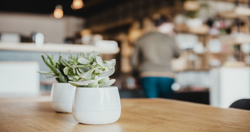 Diploma of Hospitality Management